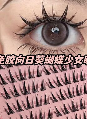 免胶向日葵假睫毛睫毛自然蝴蝶漫画仿真纯欲浓密大容量分段三部曲