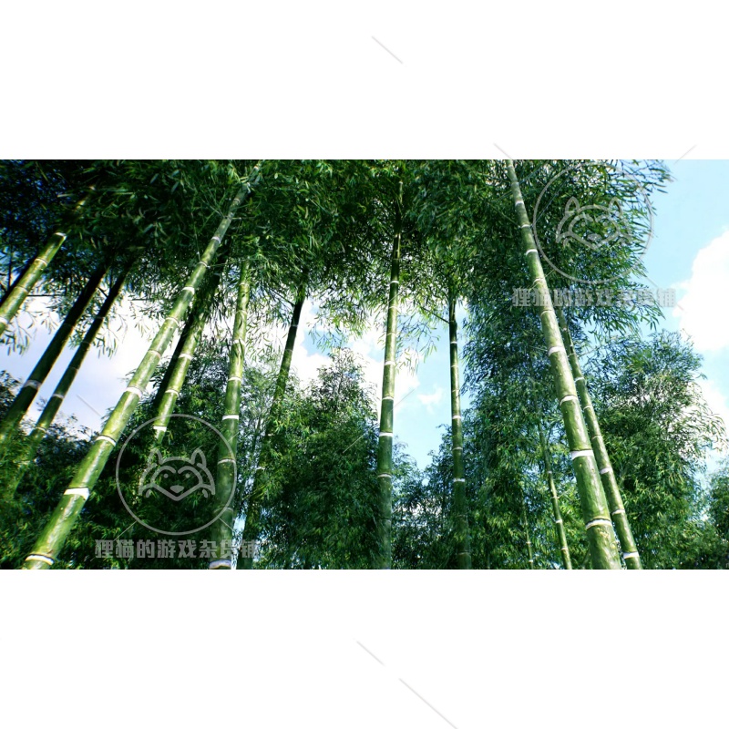 Unity Bamboo trees HDRP竹子竹林模型场景1.0-图0