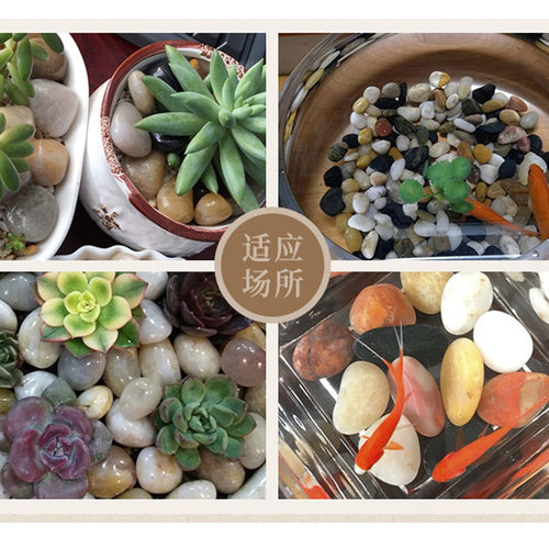 天然抛光雨花石鹅卵石五彩原石花盆园艺鱼缸铺路石头多肉庭院装饰 - 图2
