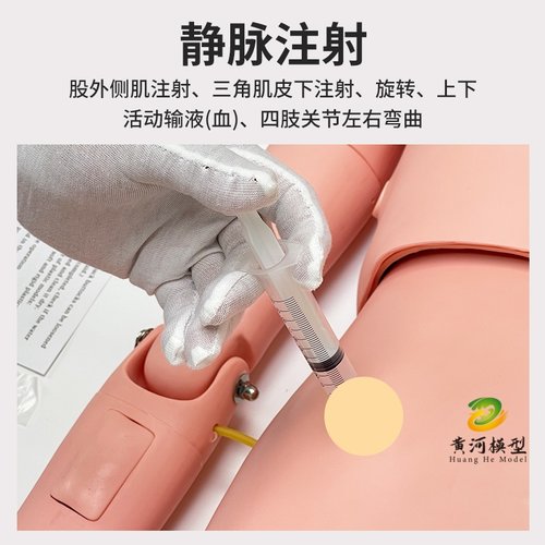 多功能护理人模型医学假人护士练习操作教学模特模拟人体模型男女 - 图1