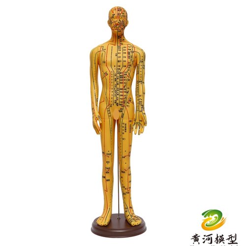中医针灸穴位人体模型教学全身十二经络图小皮人软胶扎针练习模特 - 图3
