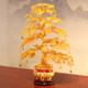 Money tree purely hand-woven money tree crafts home decoration housewarming new home opening gifts fortune ornaments