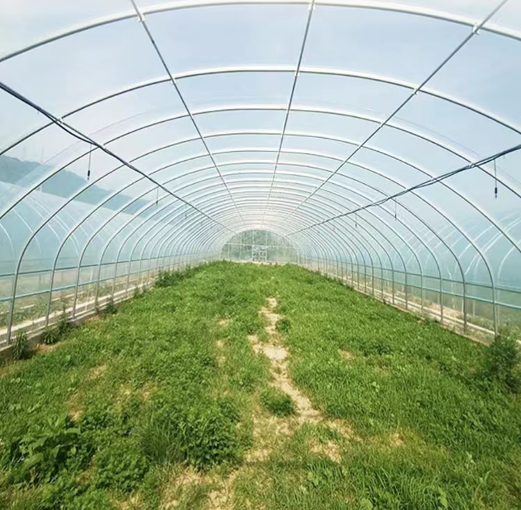 惠农温室大棚 热镀锌温室大棚骨架 农业养殖种植蔬菜保温大棚 - 图2