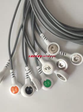 麦迪克斯中旗博声动态心电导联线12导联MAECG-200动态心电记录