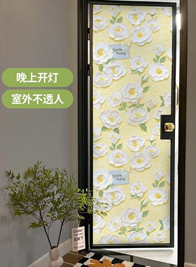 飞彩客厅透光不透明油画玻璃贴膜