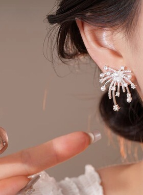 韩版设计感精致璀璨烟花耳钉女时尚小众轻奢高级耳环珍珠百搭耳饰