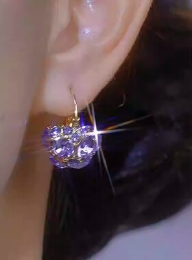 高级感紫色锆石闪钻球球耳环女气质网红轻奢耳饰日韩精致百搭耳扣