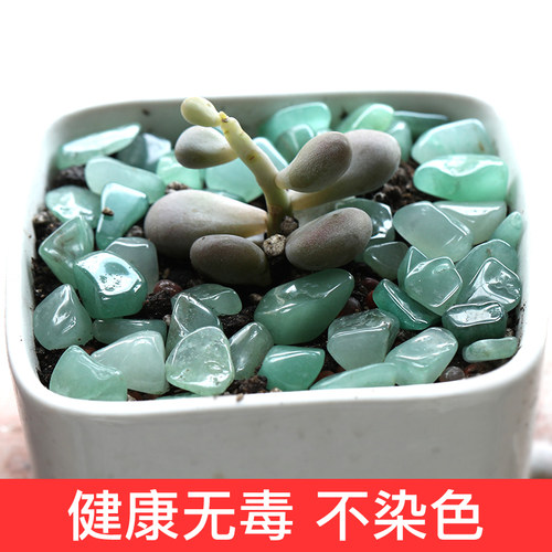 南京雨花石原石多肉土盆栽造景五彩石头铺面石彩色小石头天然清仓 - 图0