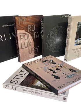 27CM简约现代道具书装饰真书