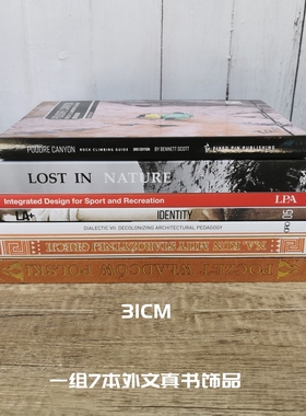 别墅样板间茶几摆件画册真书饰品