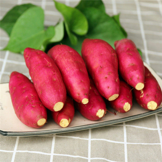 临安小香薯10斤天目山迷你小红薯 薯你棒番薯