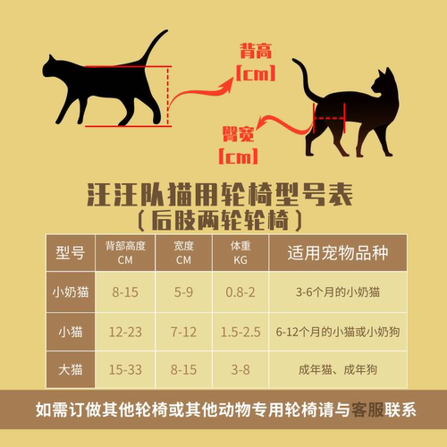 猫轮椅车后肢猫咪后腿瘫痪残疾康复训练脊椎断裂小奶猫轮椅轻便型 - 图2