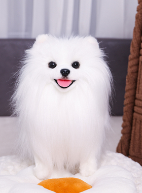 仿真克隆博美犬玩偶公仔