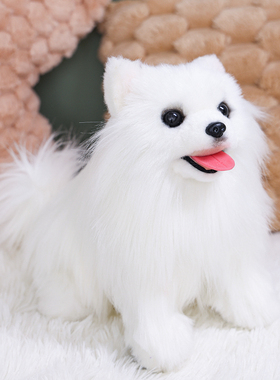 凯特胡赛尼仿真博美犬狗狗毛绒公仔模型桌面家居摆件生日礼物狗