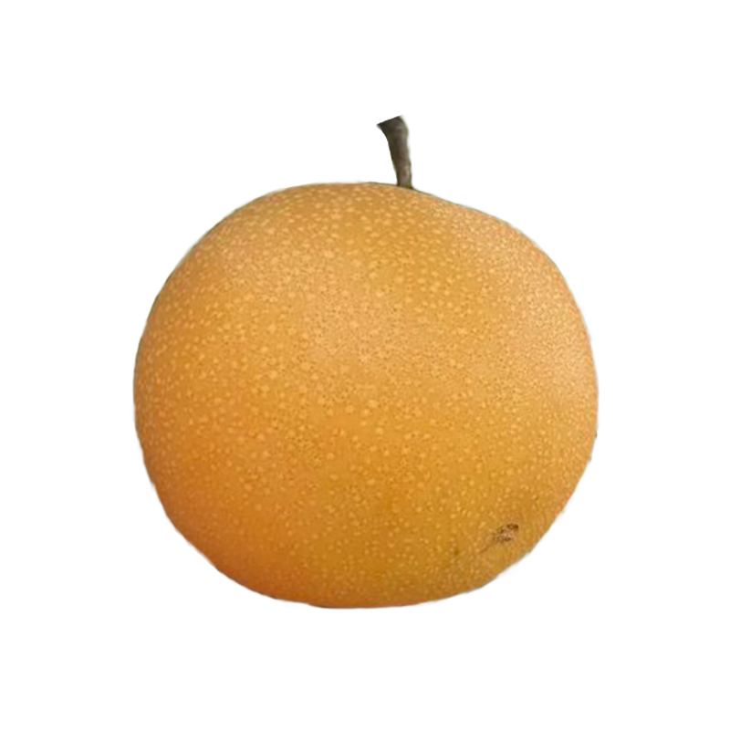 新疆阿克苏秋月梨新鲜梨子现摘现发应季水果脆甜多汁大果皮薄肉厚,淘宝优惠券,粉丝福利购,淘宝优惠卷