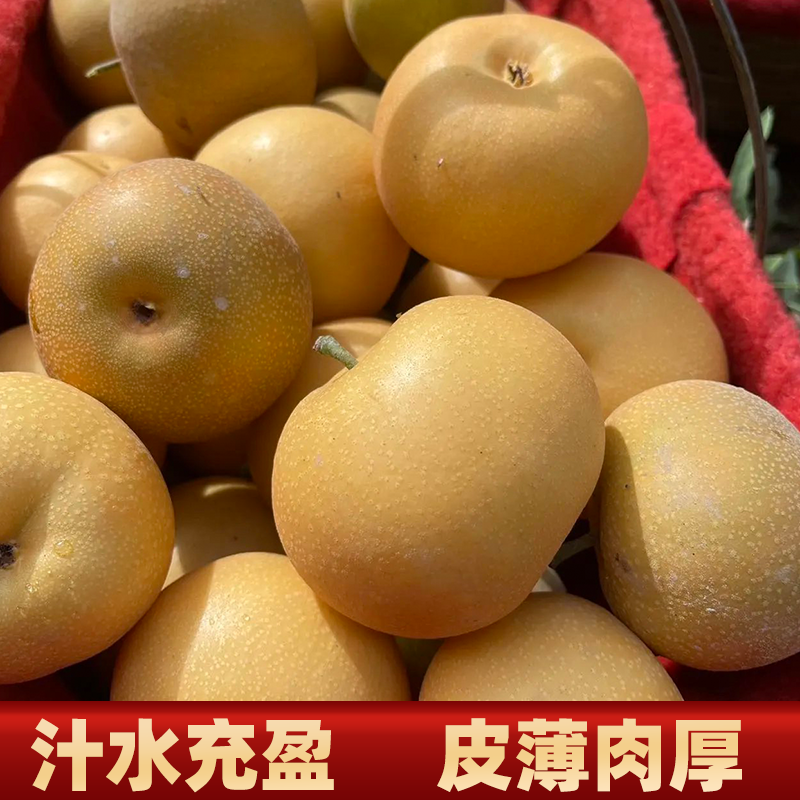 新疆阿克苏秋月梨新鲜梨子现摘现发应季水果脆甜多汁大果皮薄肉厚,淘宝优惠券,粉丝福利购,淘宝优惠卷