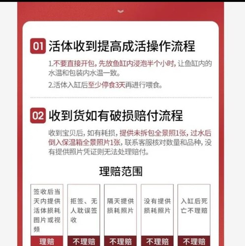 刚果美人鱼群游热带观赏鱼草缸石美人游鱼电光热带鱼淡水小型 - 图3