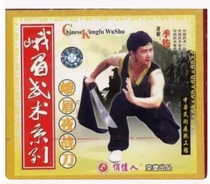 Genuine martial arts teaching disc Emei martial arts series Ebrow Night Warknife 1VCD Ji Yun