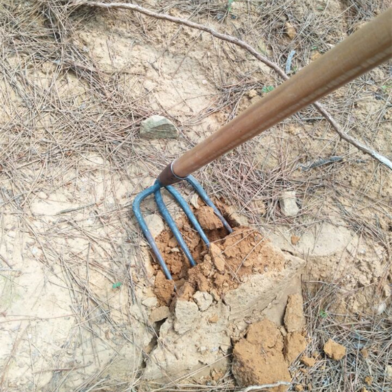 铁耙农用工具钢耙子抓钩钉耙三四齿耙松土耙翻土耙泥耙园林耙包邮