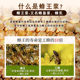 ສະຖາບັນວິທະຍາສາດກະສິກໍາ Royal jelly pure fresh fresh Royal jelly