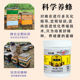 ສະຖາບັນວິທະຍາສາດກະສິກໍາ Royal jelly pure fresh fresh Royal jelly