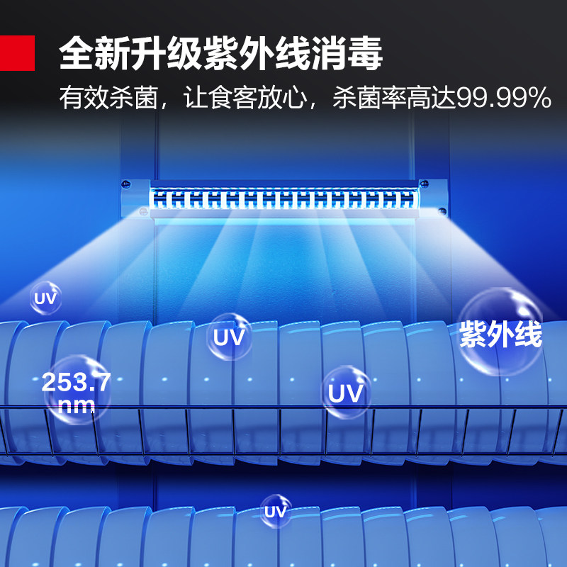 德玛仕消毒柜商用立式双门消毒碗柜 德玛仕商用消毒柜
