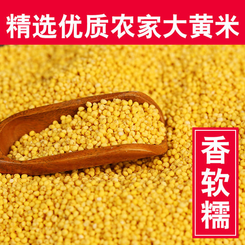 刘僧内蒙古敖汉大黄米2.5斤农家糯黄米黍米粘豆包粽子-图0