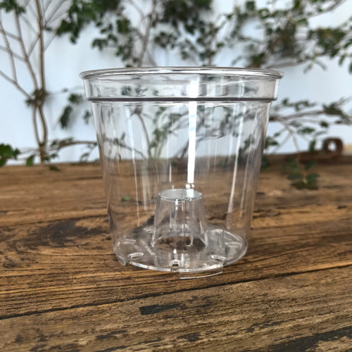 PET高透加厚圆口蝴蝶兰角堇花盆热植花卉盆栽办公桌 多肉块球根盆 - 图2