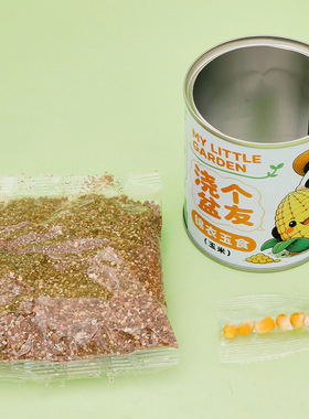 熊猫植物盆栽易拉罐绿植