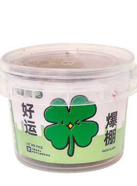 儿童植物盆栽礼物创意种