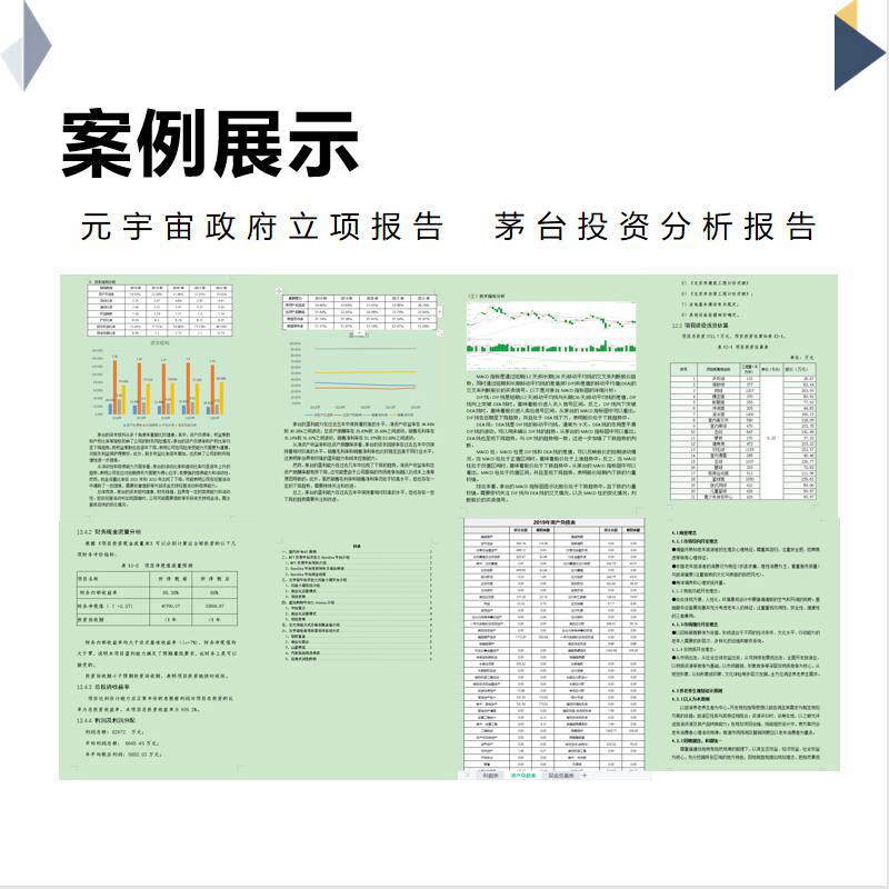 财务年度总结财务分析报告财务报表财务报告分析设计定制代写-图3