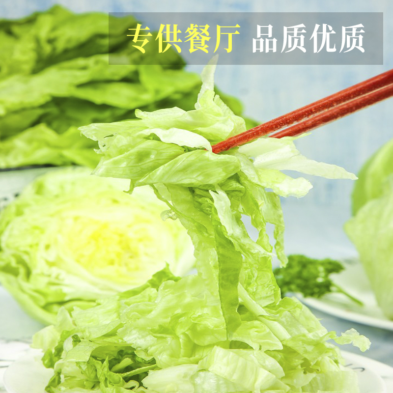 球生菜新鲜西生菜球包菜汉堡店蔬菜沙拉食材西餐圆形球生菜500g - 图2