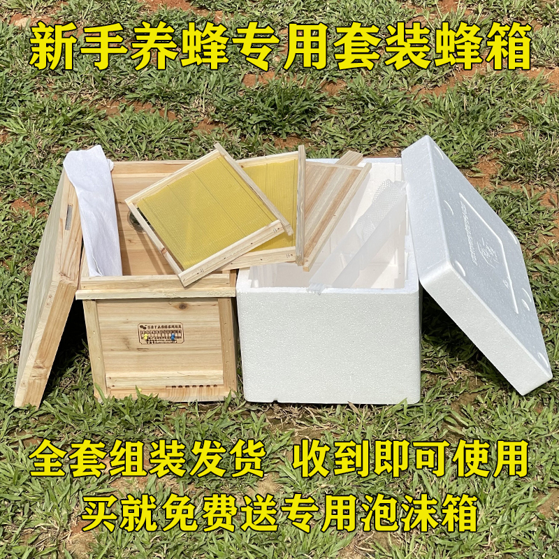 蜜蜂中蜂蜂箱全套包邮带成品巢框组装好送泡沫箱发货养蜂专用工具