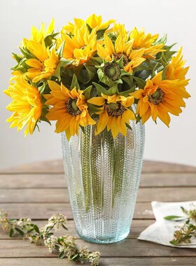 复古玻璃花瓶大号轻奢高级感摆件客厅插花鲜花创意装饰透明水养