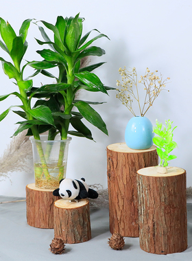 杉木实木桩带皮树段原木现切墩摆件圆木头底座木段家居装饰可定制