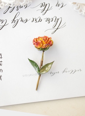 真花干花滴胶红玫瑰永生花胸针
