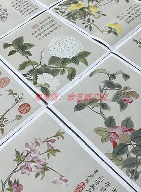 清董诰花卉图册12张宫廷院体工笔花鸟国z画斗方微喷复制装饰画