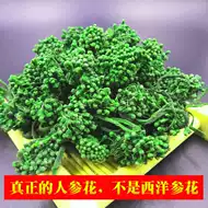 人参的功效 新人首单立减十元 21年9月 淘宝海外