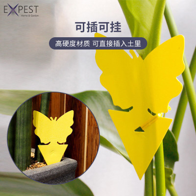 Expest绿植盆栽除虫花卉防水灭花盆小黑飞虫神器粘虫黄板室内家用 虎窝淘