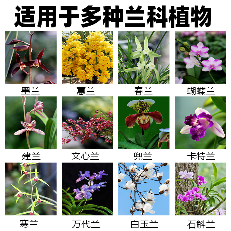 正品  兰灵王兰花微生物菌剂以菌抑菌防黄叶烂根壮苗促花活化土壤 - 图1