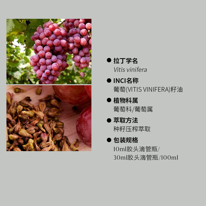 苏月葡萄籽油基础油原料非成品种籽压榨植物产地中国10ml - 图0