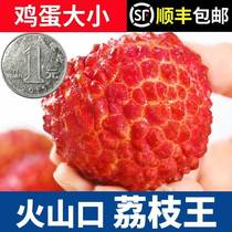 Hainan lychee king superb fresh fruit when season the whole box spot 5 catties of the frozen crater lychee fruit 3