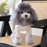 Предотвращение прохладной сумки весна живота и осенью четырехдушных брюк плюшевая собака кошка кошка питомца молодые щенки четыре юбки