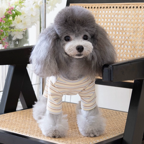 Предотвращение прохладной сумки весна живота и осенью четырехдушных брюк плюшевая собака кошка кошка питомца молодые щенки четыре юбки