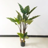 Моделирование завода внутреннее украшение крупной черепахой