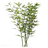 Моделирование бамбука в помещении декоративное ландшафтное разделение бамбукового лесного озеленения