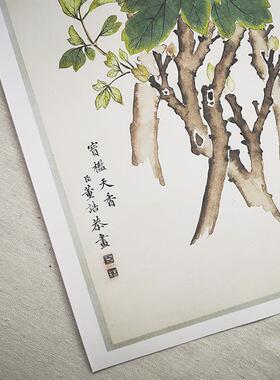 董诰 宝槛天香图 蔗林z真迹复制品30x92cm台北故宫清代牡丹名画