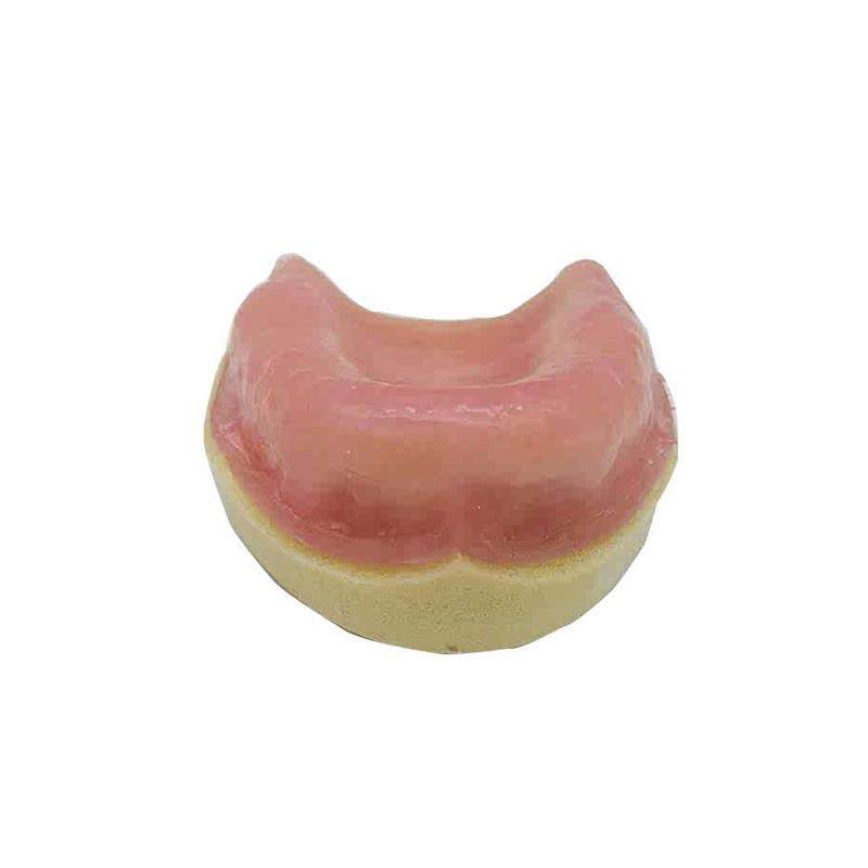 牙科牙齿种植模型全口r种植练习模型软牙龈口腔操作种植练习包邮,淘宝优惠券,粉丝福利购,淘宝优惠卷