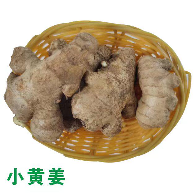 新鲜生姜云南罗平小黄姜现挖嫩姜子姜农家大仔姜沙姜月子姜蔬菜_虎窝淘