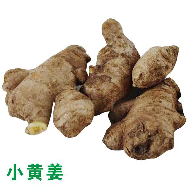 新鲜生姜云南罗平小黄姜现挖嫩姜子姜农家大仔姜沙姜月子姜蔬菜_虎窝淘